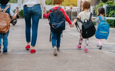 Magnolia Schools & Community Activities