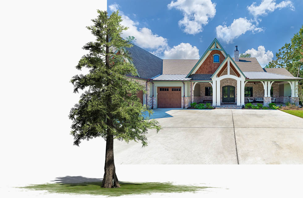 The Cedars custom homes