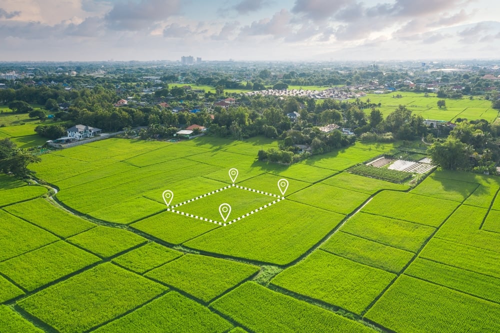 Land or landscape of green field