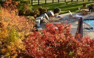 Fall Maintenance Tips for Your Custom Pool