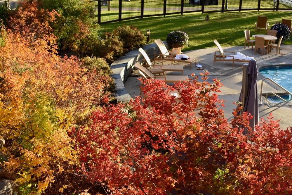 Autumn,Leaves,Around,An,Outdoor,Pool